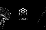 Introducing Ocean Protocol South Africa