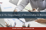 What is the Importance of Mentorship in Business?