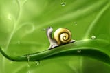 Poem, A snail