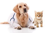 Few Factors to Consider Regarding Pet Health Insurance