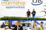 New internship opportunities !