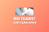 How I Drastically Reduced My Flutter App Size by ~80MB with Just One Line of Code