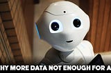Why More Data Is Not Enough For AI?