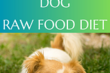 Top 7 Foods for Dogs — Raw Food Diet