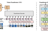 Visual Transformer (ViT)