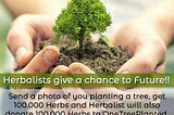 Herbalist Volunteer Program