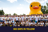 365 Days in Yellow: Exponea Retrospective