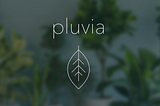 pluvia: Making plant care easier