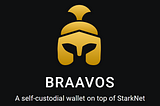 Тестирование кошелька BRAAVOS