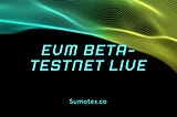 EVM Compatible SMTX Shogun beta Testnet Chain: Advancing Towards Mass Market Adoption