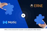 ERNE on Matic Network