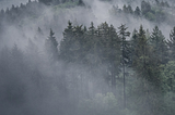 The Wisdom Mirror of Nature: December