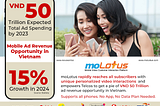 How Vietnamese Telcos Can Double Their Revenues
