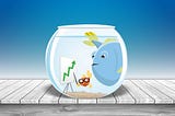 Banka Satın Alan Fintech’ler Arasına Yenisi Ekleniyor