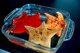 Three brightly colored bat stars of different hews sit in a large glass tray of water.