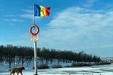 A Life-Preserver or a Legitimate Enlargement: The Case for Moldova’s EU Accession