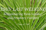 Jesus’ Last Weekend: Remembering Palm Sunday and Prophecy Fulfilled