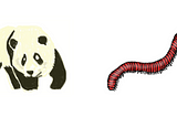 Two full-colour illustrations of a giant panda and a millipede side by side