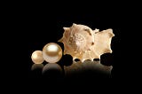 A white shell alongside two pearls, one large, one small reflected in a black background.