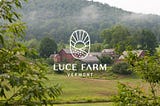 A Review of Luce Farm Wellness: Sustainably-Grown Hemp and Quality Herbal Products