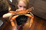 Screentime for Corona: How I healed my family with crabbing.