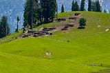 The ultimate guide to morro meadows kohistan