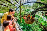 Get Upto to 80 % Off @ Singapore Zoo Ticket Last Minute Deals by Travejar