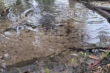 [Image Description: Video still of a close up view of multiple ripples in a puddle of water.]