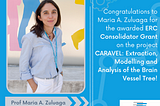 €2 Million ERC grant awarded for studying the brain vessel tree at EURECOM