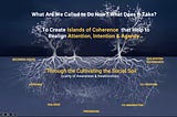 Otto Scharmer: Cultivating the Social Field, and Promoting Collective Agency to Face the Polycrisis