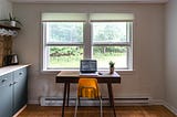 How to work from home without losing the plot (V.2)