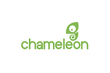 The Chameleon View, Vol 1