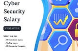 Cyber Security Analyst