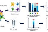 Single-cell transcriptomics — A new age compass to generate biological atlases
