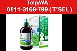 0811–3168–799, Jual Chlorophyll k-link