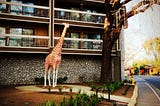 The Saapuloa Giraffe Family