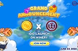 NFT Marble Game — Upcoming IDO Project on Winery Swap