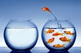How Expensive Is Our Comfort Zone? 3 Ways We Lose Money and Opportunities