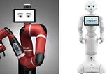 Functional vs. biological approach in designing social robots