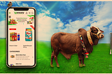 Online Qurbani Service in Rawalpindi And Islamabad