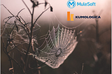 Migrating MuleSoft API led connectivity pattern into AWS using Kumologica