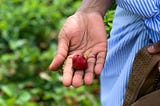 Strawberry Fields Forever