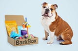 Barkbox: the way to your dog’s heart