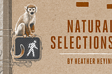 Announcing Natural Selections