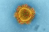 Electron microscope image of Novel Corona virus.