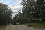A close call from Hurricane Irma