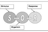 What is S-O-R Model ?