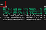 Use Command to Connect to VPN with Kali Network Manager