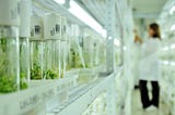 Creating a gene bank for endangered plants and animals