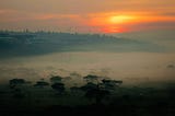 Dispatches From the Front, the Rwandan War Comes to New Haven